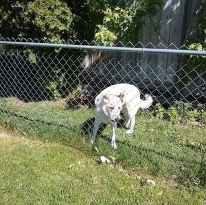 Meet your Posher, Leah